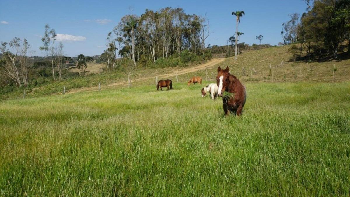 Willa Rancho Sol Poente - Rancho Queimado - Sc Zewnętrze zdjęcie