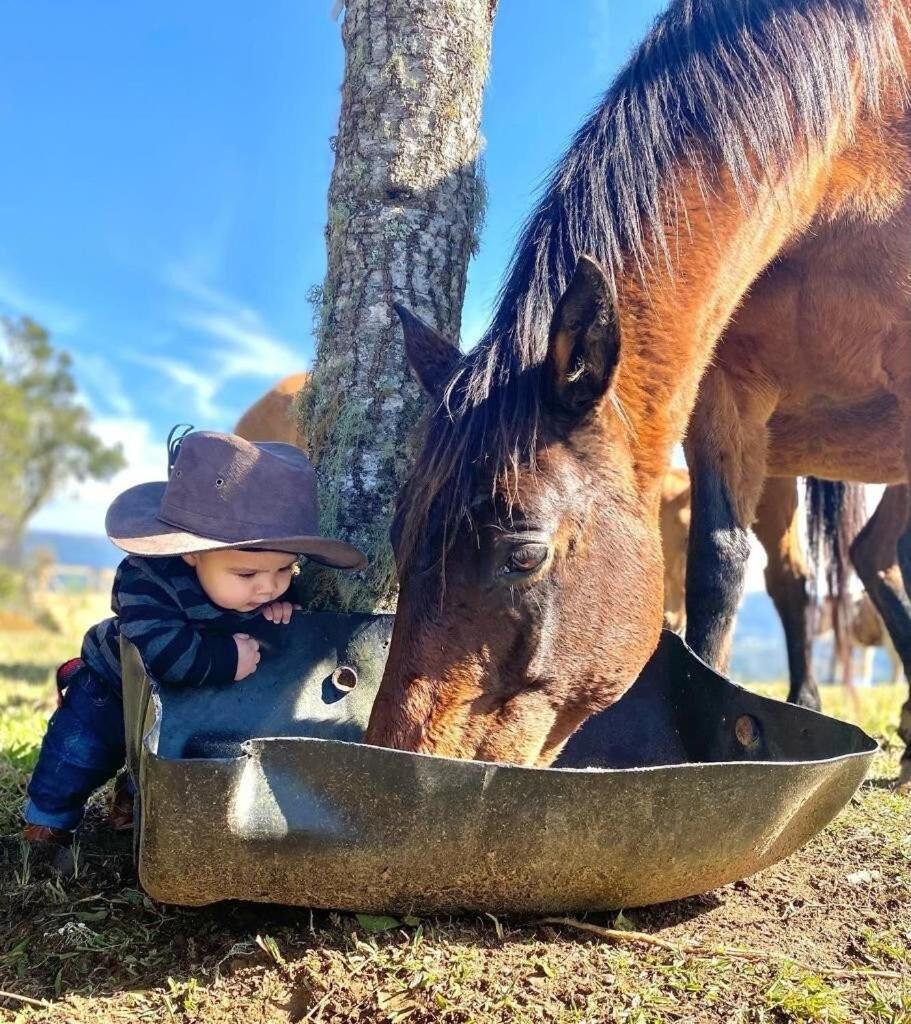 Willa Rancho Sol Poente - Rancho Queimado - Sc Zewnętrze zdjęcie